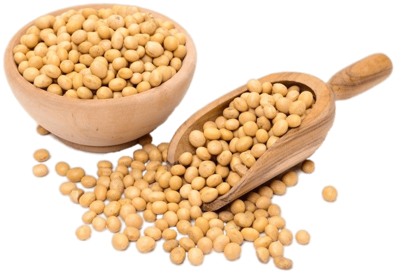 Soy Bean 20kg