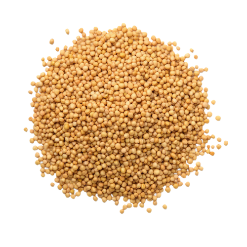 Mustard Seeds 1000gr