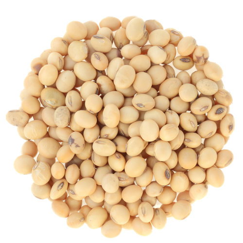 Soy Beans Dried 200gr
